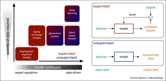 Data-driven models in human neuroscience and neuroengineering