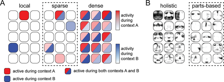 Neural correlates of sparse coding and dimensionality reduction