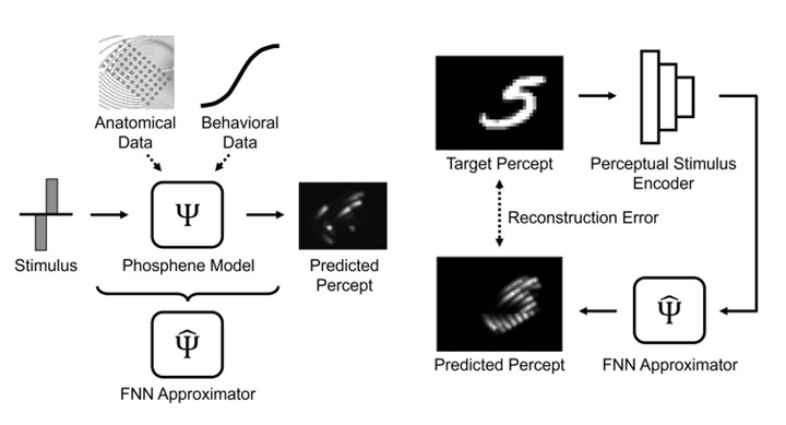Deep learning-based perceptual stimulus encoder for bionic vision