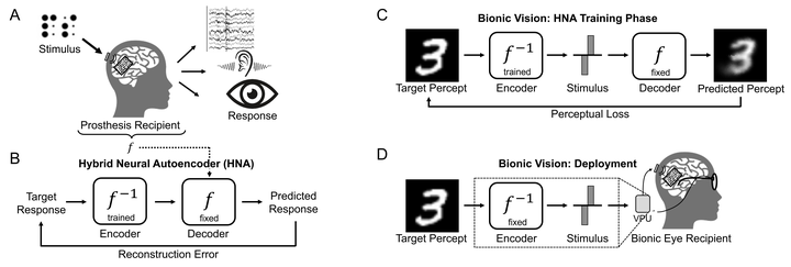 A hybrid neural autoencoder for sensory neuroprostheses and its applications in bionic vision
