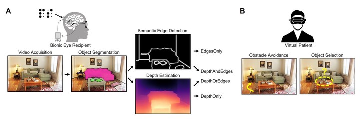 The relative importance of depth cues and semantic edges for indoor mobility using simulated prosthetic vision in immersive virtual reality