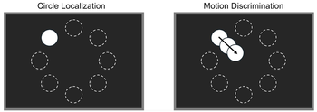 Gamification enhances user engagement and task performance in prosthetic vision testing