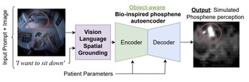 Language-conditioned object highlighting for simulated prosthetic vision