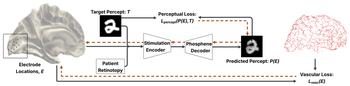 Percept-aware surgical planning for visual cortical prostheses with vascular avoidance