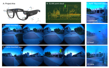 Navigating the last mile: Evaluating head- and cane-mounted cameras for egocentric spatial awareness