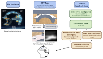 Evaluating closed-loop EEG feedback for simulated prosthetic vision in immersive VR: a sham-controlled feasibility study